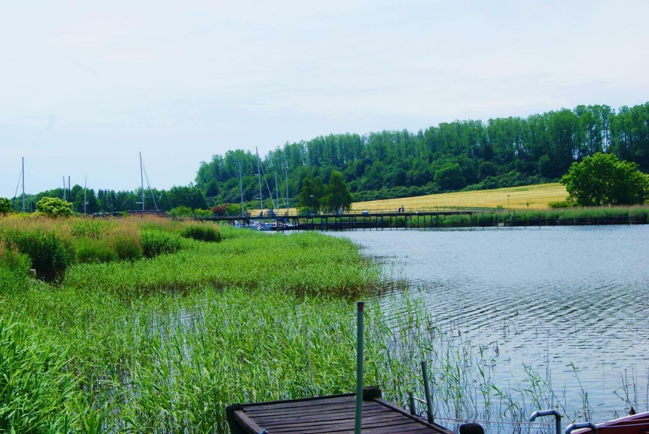 Ferienwohnung 4 Im Haus Am See Mit Wintergarten Und Terrasse Seedorf  Dış mekan fotoğraf