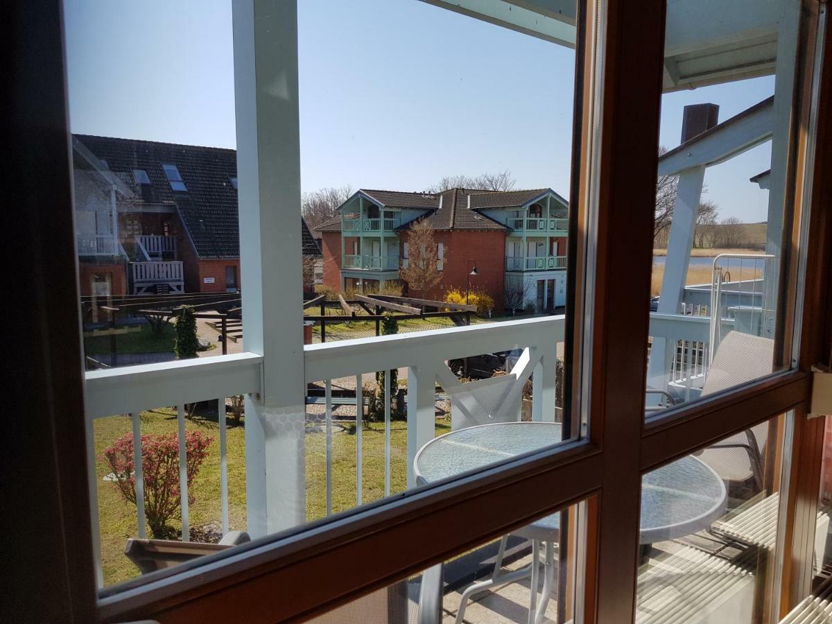 Ferienwohnung 4 Im Haus Am See Mit Wintergarten Und Terrasse Seedorf  Dış mekan fotoğraf
