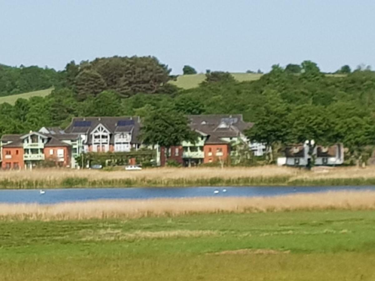 Ferienwohnung 4 Im Haus Am See Mit Wintergarten Und Terrasse Seedorf  Dış mekan fotoğraf
